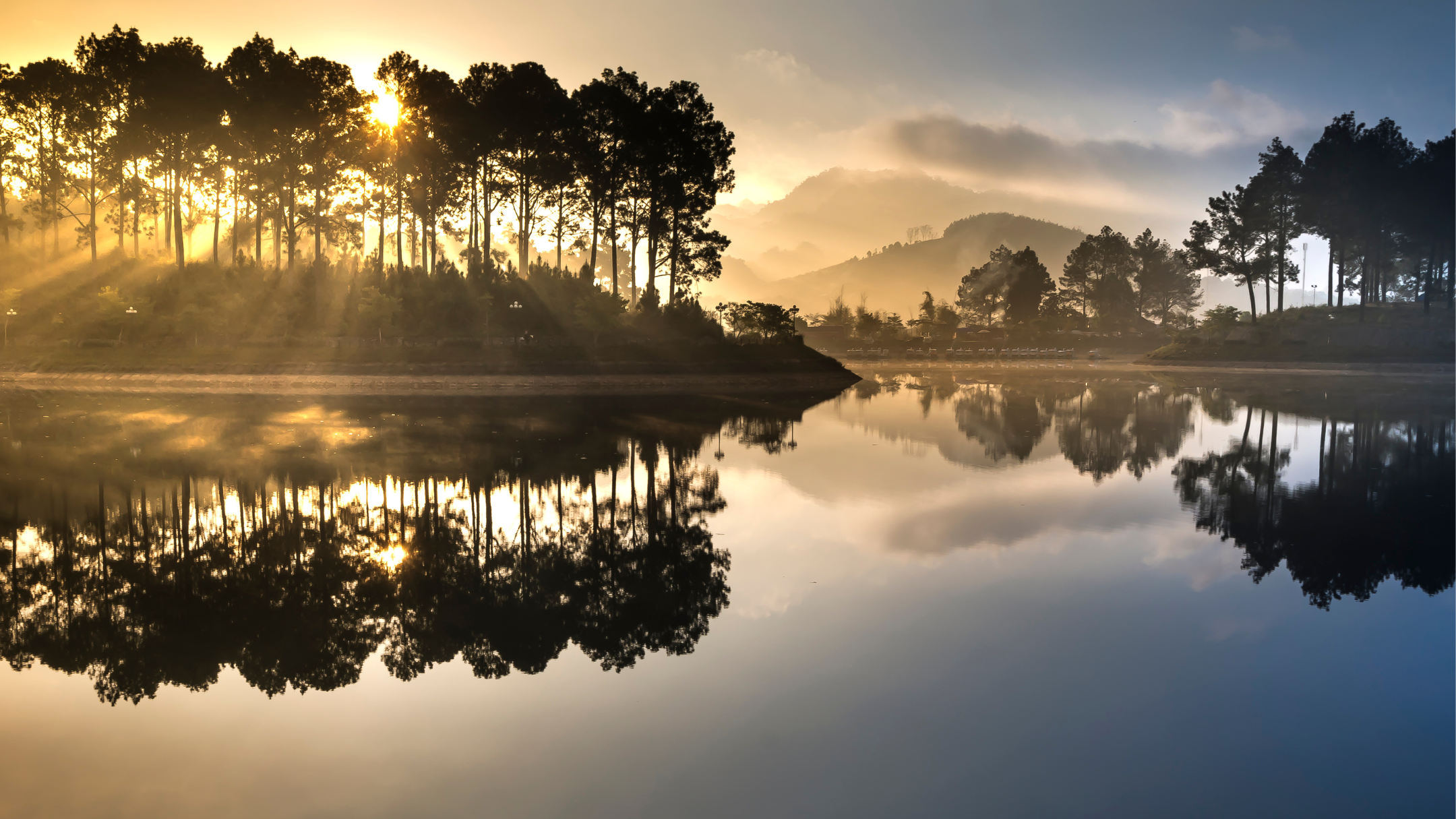 Golden sunlight breaking through trees and reflecting across calm water. Imagery used on Kellie Swart’s homepage.